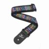 רצועה לגיטרה צבעי מים דדריו - Daddario 50PM02 Planet Waves, Pat Metheny Guitar Strap