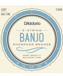 מיתרים לבנג'ו דדריו - 9-20 - Daddario EJ69B 5-String Banjo Phosphor Bronze Custom Light