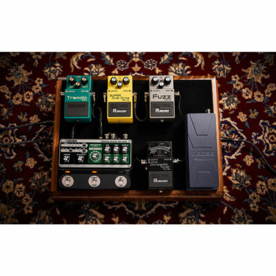 ⁦פדל אפקט דיליי בוס - BOSS RE-202 Space Echo⁩ – תמונה ⁦6⁩