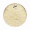 עור פנימי לתוף בס אוונס - "Evans BD20CT Calftone 20