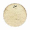 עור פנימי לתוף בס אוונס - "Evans BD20GB4CT EMAD EQ4 Calftone 20