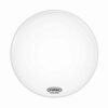 עור חיצוני לתוף בס אוונס -  Evans BD20RSW-NP EQ3 Resonant 20" No Port Smooth White