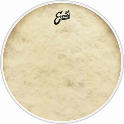 עור פנימי לתוף בס אוונס - "Evans BD24GB4CT EMAD EQ4 Calftone 24