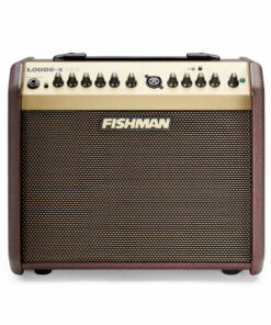 מגבר לגיטרה אקוסטית פישמן - FISHMAN Loudbox Mini BT 60w Acoustic Guitar Amplifier