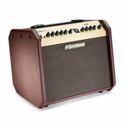 ⁦מגבר לגיטרה אקוסטית פישמן - FISHMAN Loudbox Mini BT 60w Acoustic Guitar Amplifier⁩ – תמונה ⁦4⁩