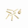 פינים פלסטיק לבן לגיטרה אקוסטית דדריו - Daddario Planet Waves PWPS12 White Plastic Bridge Pins with End Pin Set