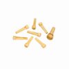 פינים מעץ לגיטרה אקוסטית דדריו - Daddario Planet Waves PWPS6 Boxwood Bridge Pins with End Pin Set