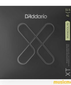 מיתרים למנדולינה דדריו - 11.5-41 - Daddario XTM11541 Coated Phosphor Bronze Mandolin Strings Custom Medium/Heavy