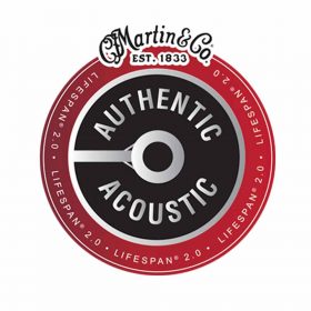 AUTHENTIC ACOUSTIC LIFESPAN 2.0
