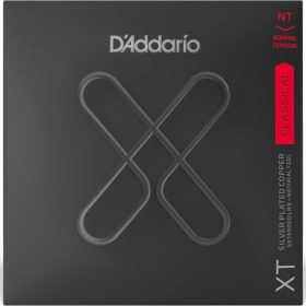 XT