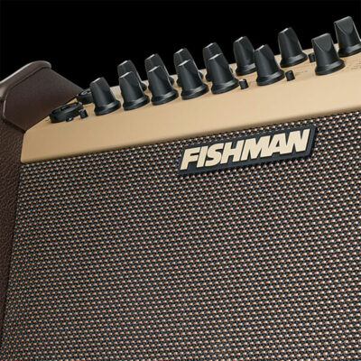⁦מגבר לגיטרה אקוסטית פישמן - FISHMAN Loudbox Artist BT 120w Acoustic Guitar Amplifier⁩ – תמונה ⁦5⁩